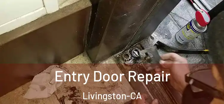  Entry Door Repair Livingston-CA