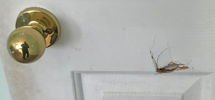 interior door hole repair Livingston