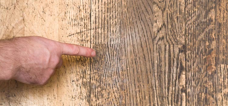 Wood Door Scratch Repair in Livingston